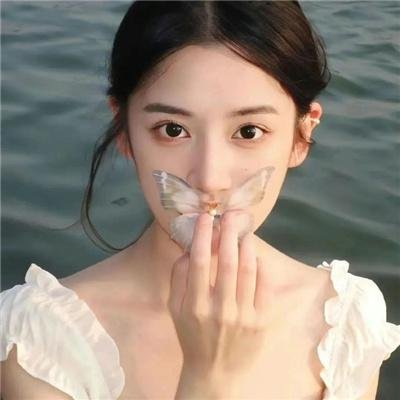 网中情